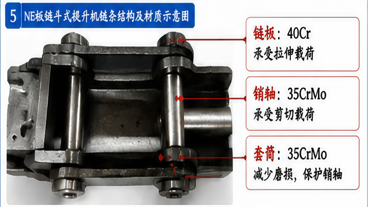NE板鏈斗式提升機40Cr鏈板35CrMo銷軸結(jié)構(gòu)示意圖